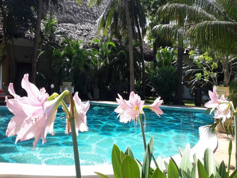 African House Resort